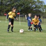 12493923_10208417584786304_5894909119482822841_o