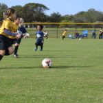 1415122_10208417573426020_2519610125729529393_o