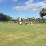 7473_973025346127571_3040542080021824296_n (1)