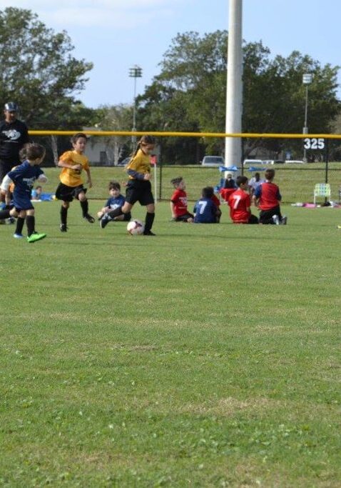 886921_10208417585586324_2928879522616647072_o