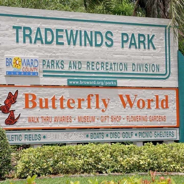 d29ad00d48971cf5ab71eaa81ade2483